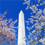 Washington-Monument-DEFqLqGY9_21