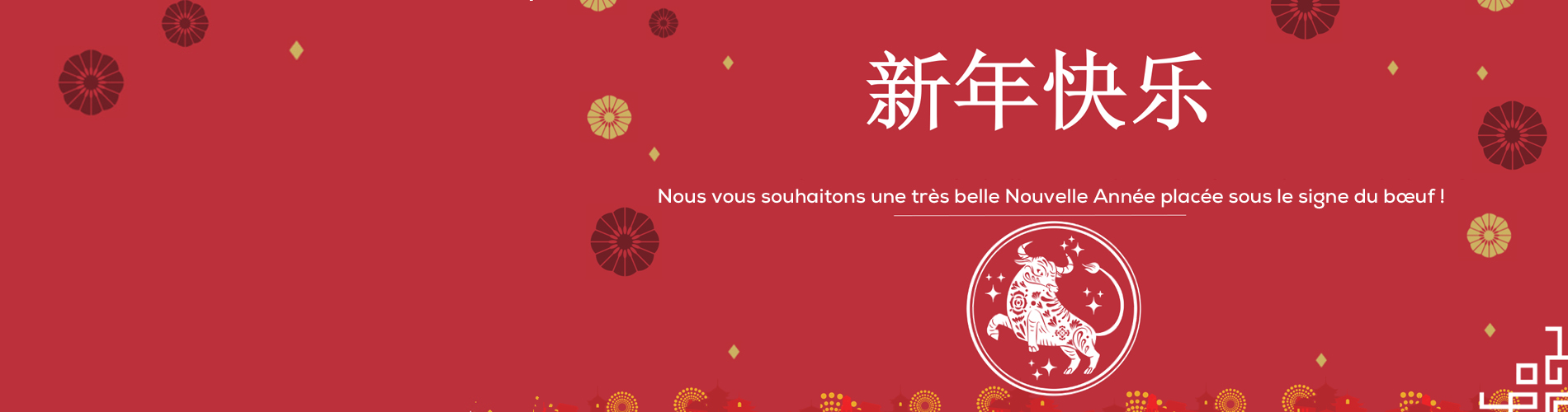 banner_new_year_chinese_fr_homepage